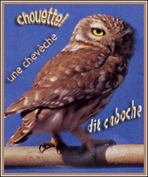 Photo (ou image) de Caboche