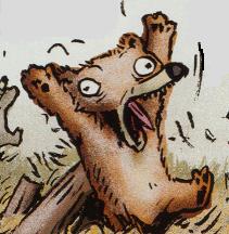 Photo (ou image) de Bernie77