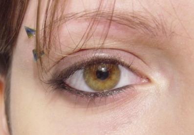 Photo (ou image) de Gwelle