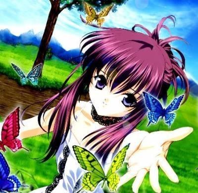 Picture of chasseusedepapillons