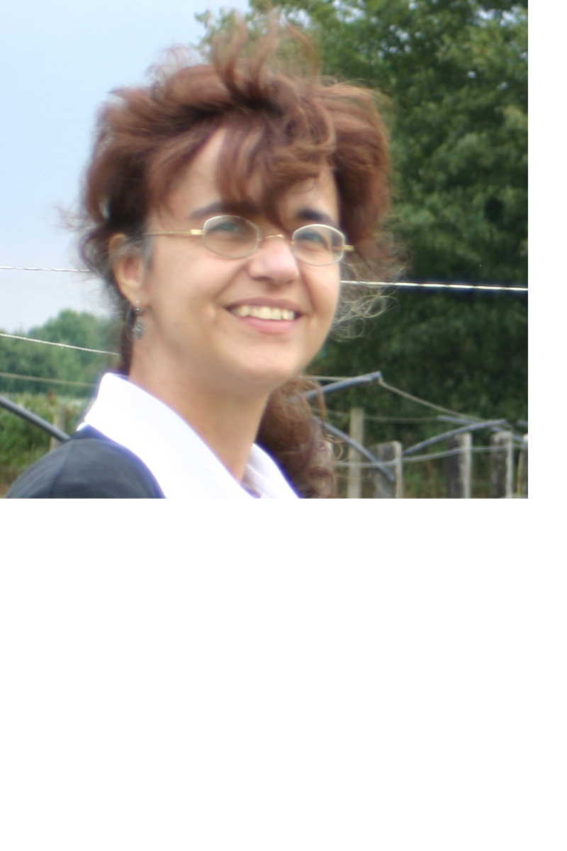 Photo (ou image) de poney